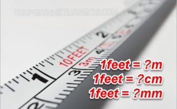 1 feet bằng bao nhiêu m