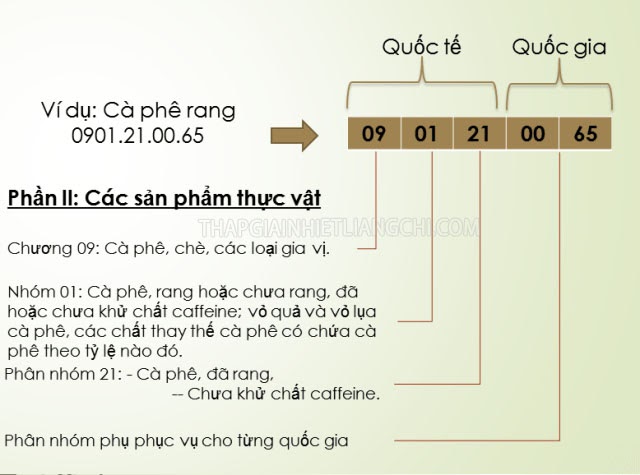 hs code vietnam