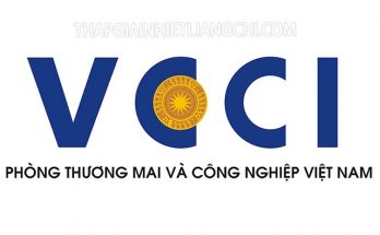 VCCI là gì?