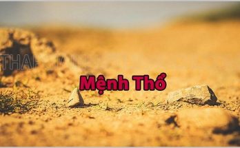 Người mệnh thổ hợp màu gì?
