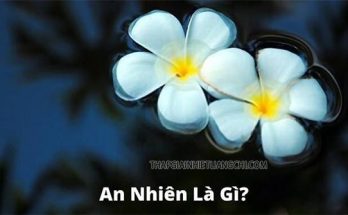 An nhiên là gì?