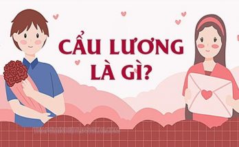 Cẩu lương là gì?