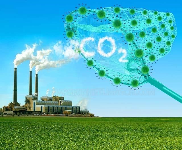 Khí CO2 là nguyên nhân chính gây hiệu ứng nhà kính