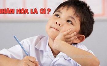 Nhân hóa là gì