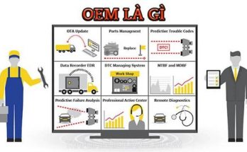 OEMS là gì