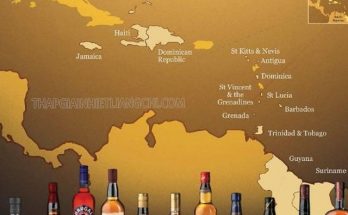 Rượu rum là gì