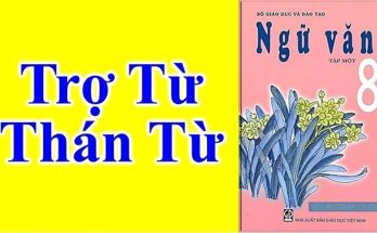 Thán từ là gì?