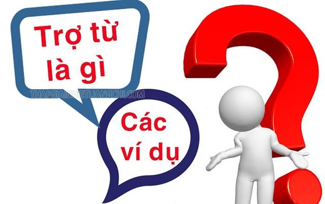 Trợ từ trong tiếng Việt được sử dụng như thế nào?
