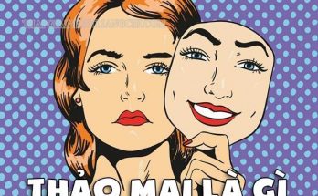 Thảo mai là gì?