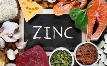 Kẽm ZinC là gì?