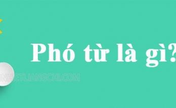 Phó từ là gì