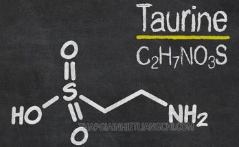 Taurine là gì?