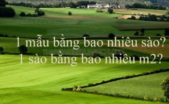 1 Sào bằng bao nhiêu m2