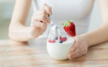 Sữa chua chứa rất nhiều lợi khuẩn tốt cho quá trình tiêu hóa