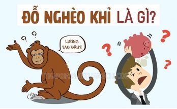 Tìm hiểu Đỗ nghèo khỉ là gì?