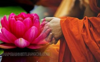 Tìm hiểu định nghĩa Hoa rơi cửa Phật là gì?