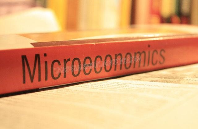 Kinh tế vi mô, tiếng Anh là Microeconomics