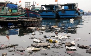 Ô nhiễm nước ngày càng gia tăng