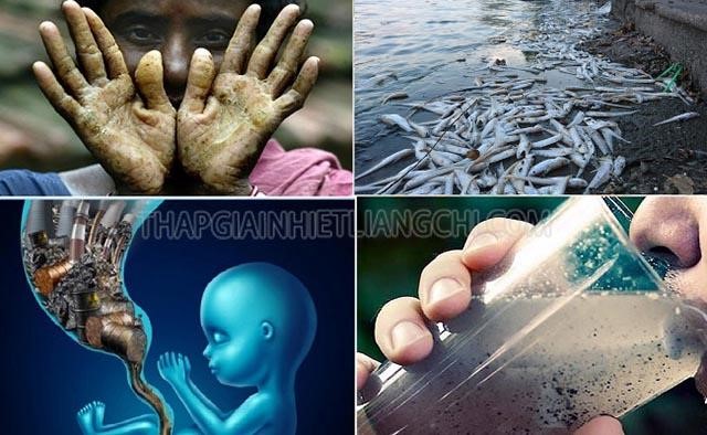 Ô nhiễm nguồn nước ảnh hưởng đến sức khỏe con người và sinh vật