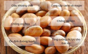 Tác dụng của hạt mít