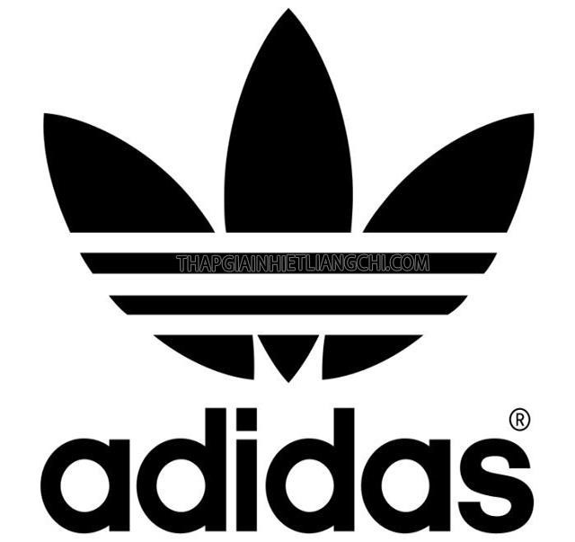 Adidas Original là gì?
