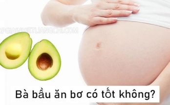 Bà bầu ăn bơ có tốt không?