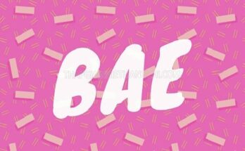 Bae nghĩa là gì?