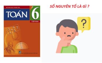 Số nguyên tố là gì?