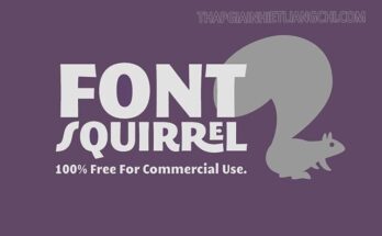 Trang web tìm font chữ Fontsquirrel