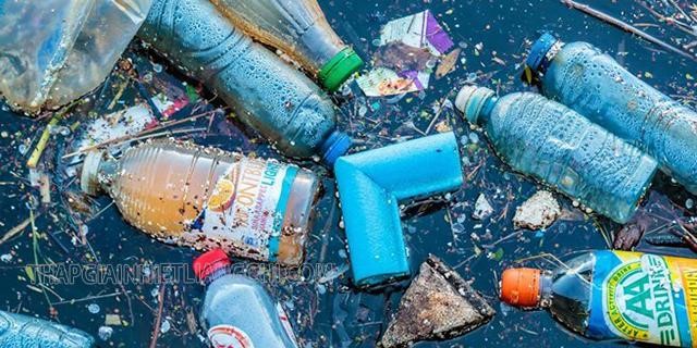 Ảnh hưởng nặng nề của rác thải nhựa
