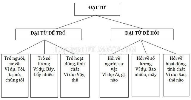 Các loại đại từ có trong tiếng Việt