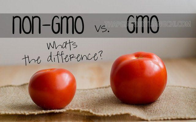Non-GMO là gì?