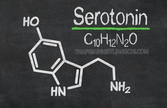 Serotonin là gì?