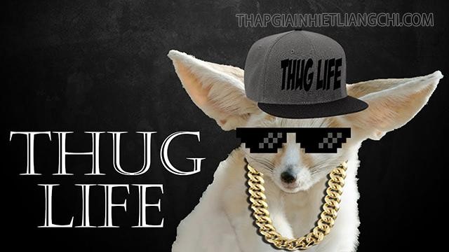Thug life meme