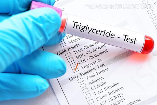 Tầm soát chỉ số Triglyceride định kỳ