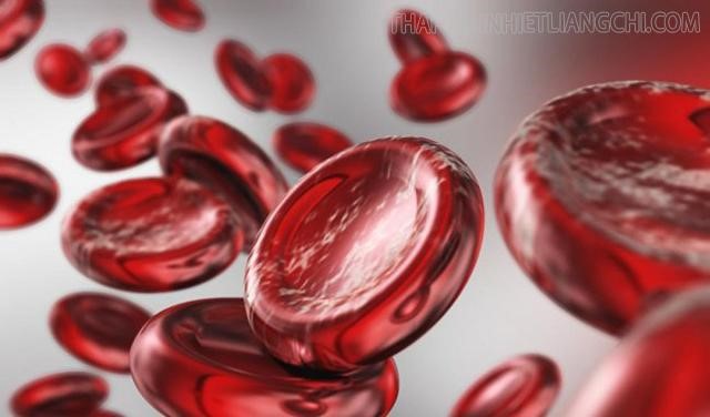 Hình dạng tự nhiên của các tế bào hồng cầu