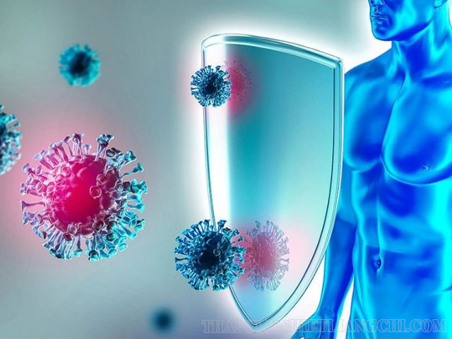 Tìm hiểu hệ miễn dịch trong cơ thể người