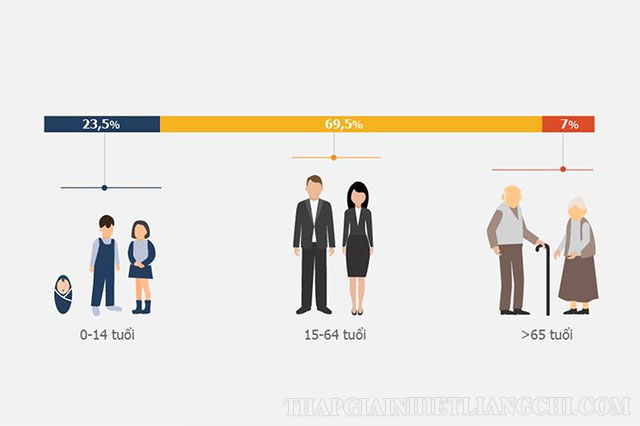 Hình minh họa về cơ cấu dân số theo nhóm tuổi