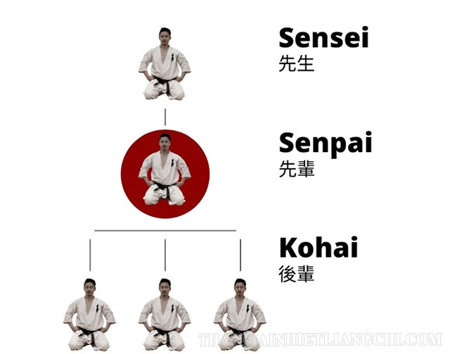 Sự khác nhau giữa Sensei, kouhai và senpai