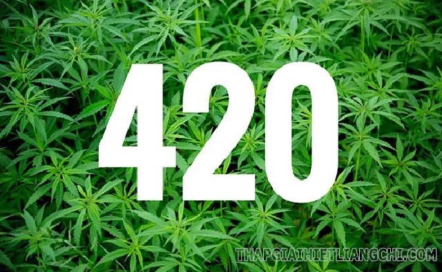 420 là ngày Quốc tế cần sa