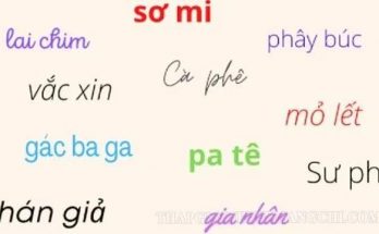 Từ mượn giúp làm phong phú cho ngôn ngữ
