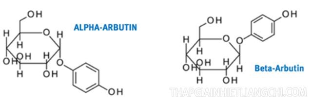 Các dạng hoạt chất Arbutin 