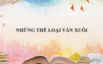 Văn xuôi có nhiều thể loại khác nhau