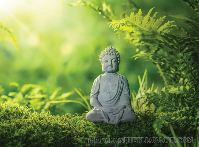 Tìm hiểu về vô tri trong Phật pháp