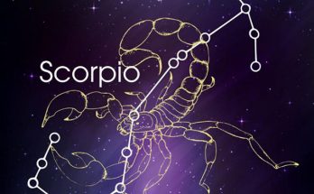Scorpio - Cung Bọ Cạp (23/10 - 22/11)