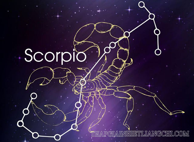 Scorpio - Cung Bọ Cạp (23/10 - 22/11)