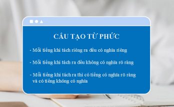 Cấu tạo của từ phức