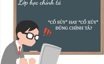 Cổ xúy hay cổ súy được viết đúng