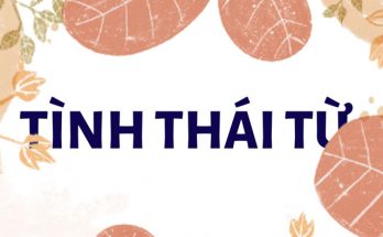 Định nghĩa về tình thái từ