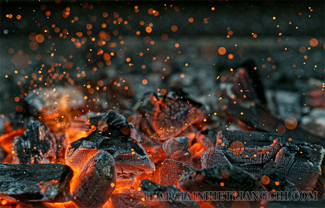 Phản ứng đốt cháy gỗ giúp chuyển hóa năng lượng thành nhiệt